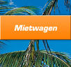 Mietwagen