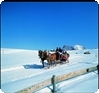 Zur Reise