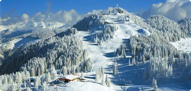 Zur Reise