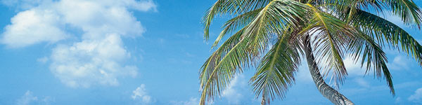 Plus Reisewelt