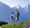 Zur Reise