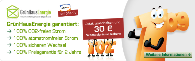 Gr&uuml;nHausEnergie