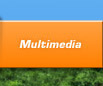 Multimedia