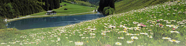 Plus Reisewelt