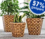 &Uuml;bert&ouml;pfe, 3-tlg. inkl. Zinkeinsatz - statt 69.95 nur
