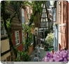 Zur Reise