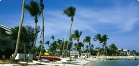 Zur Reise